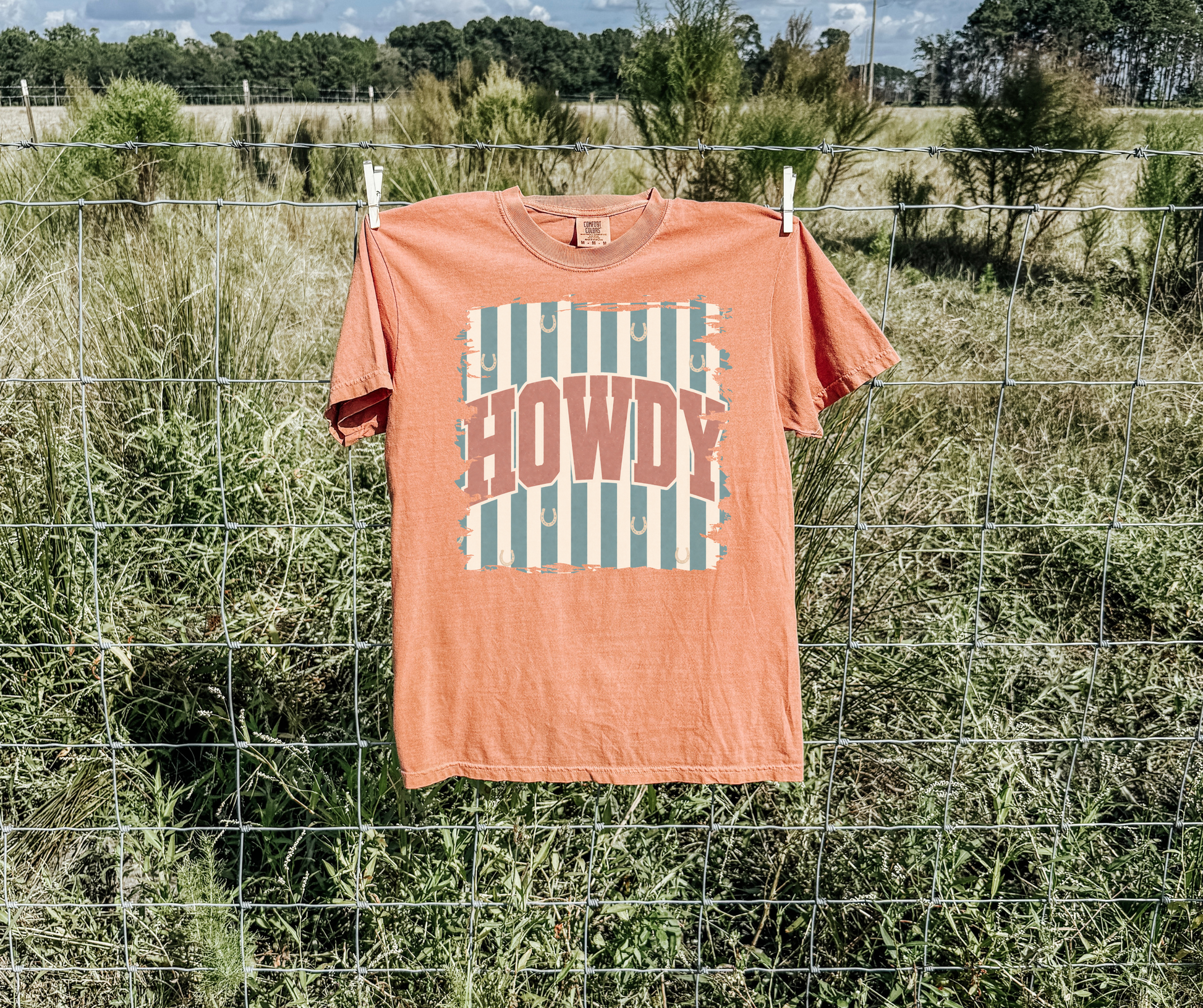 Retro Howdy Western Graphic Tee on a terracotta Comfort Colors shirt featuring vintage stripes and horseshoes